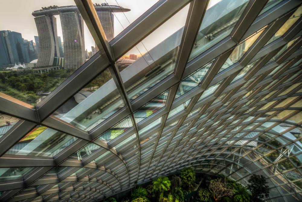 Cloud Forest in Gardens by the Bay
